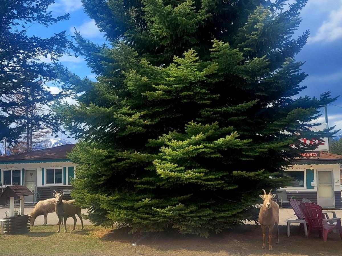 Lido Motel Radium Hot Springs Εξωτερικό φωτογραφία