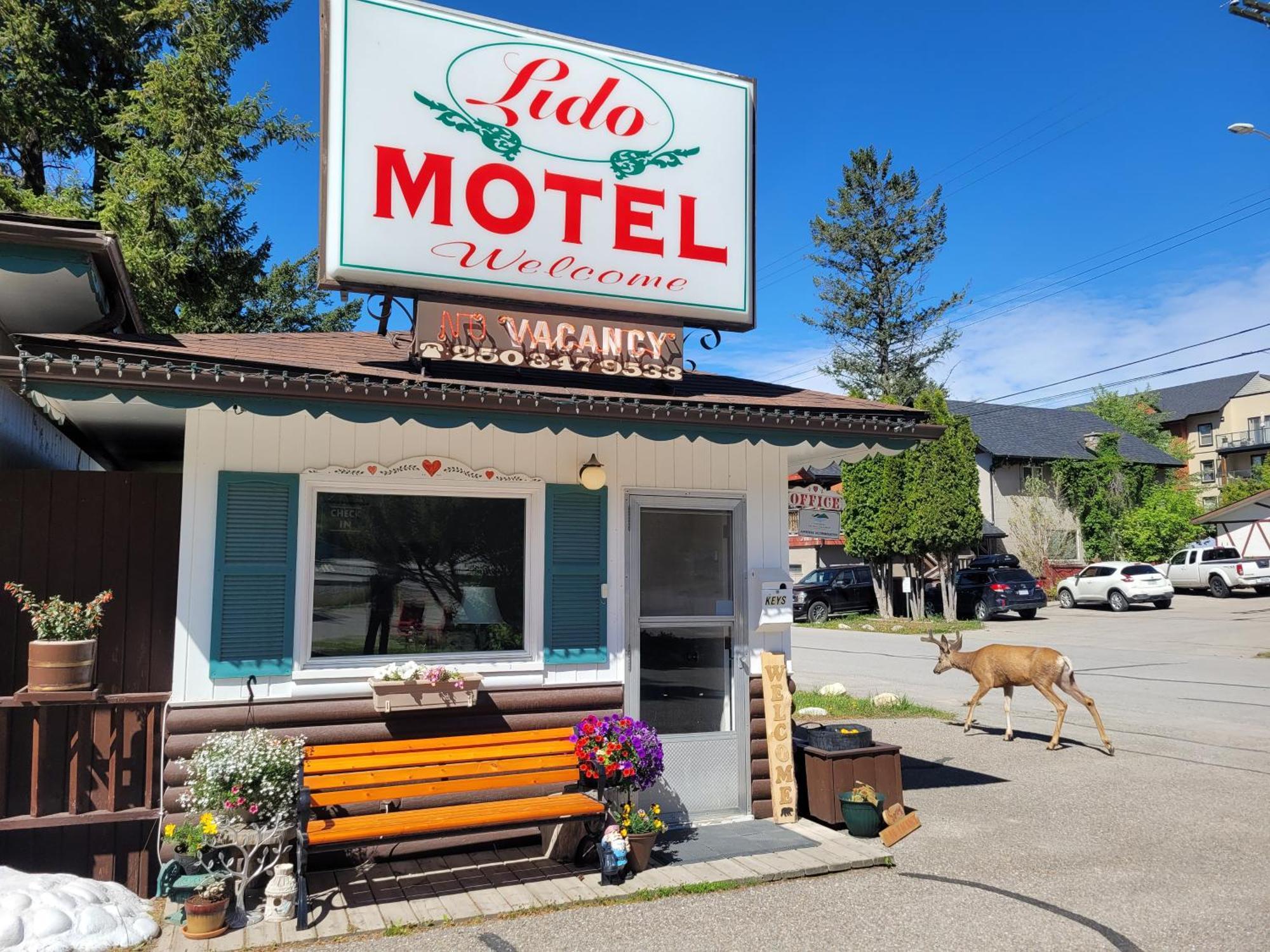 Lido Motel Radium Hot Springs Εξωτερικό φωτογραφία