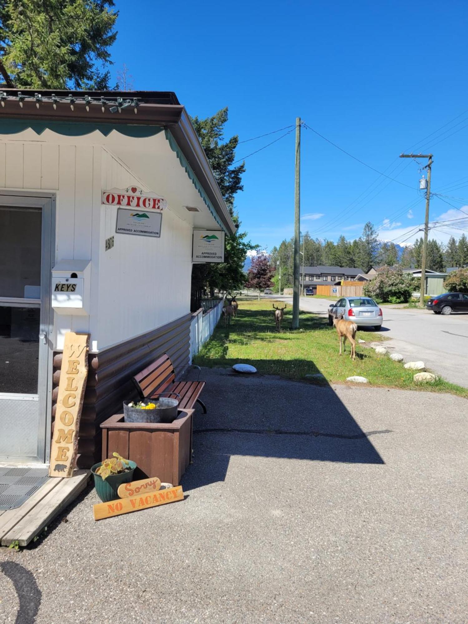 Lido Motel Radium Hot Springs Εξωτερικό φωτογραφία
